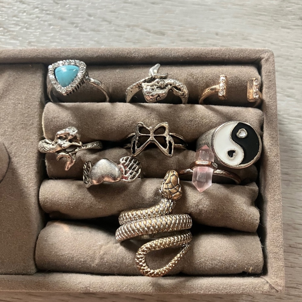 Bundle of rings